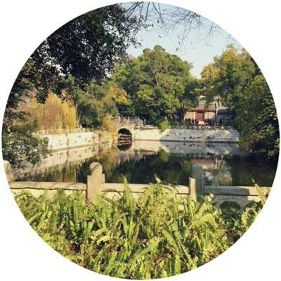 多兰大陆游戏下载